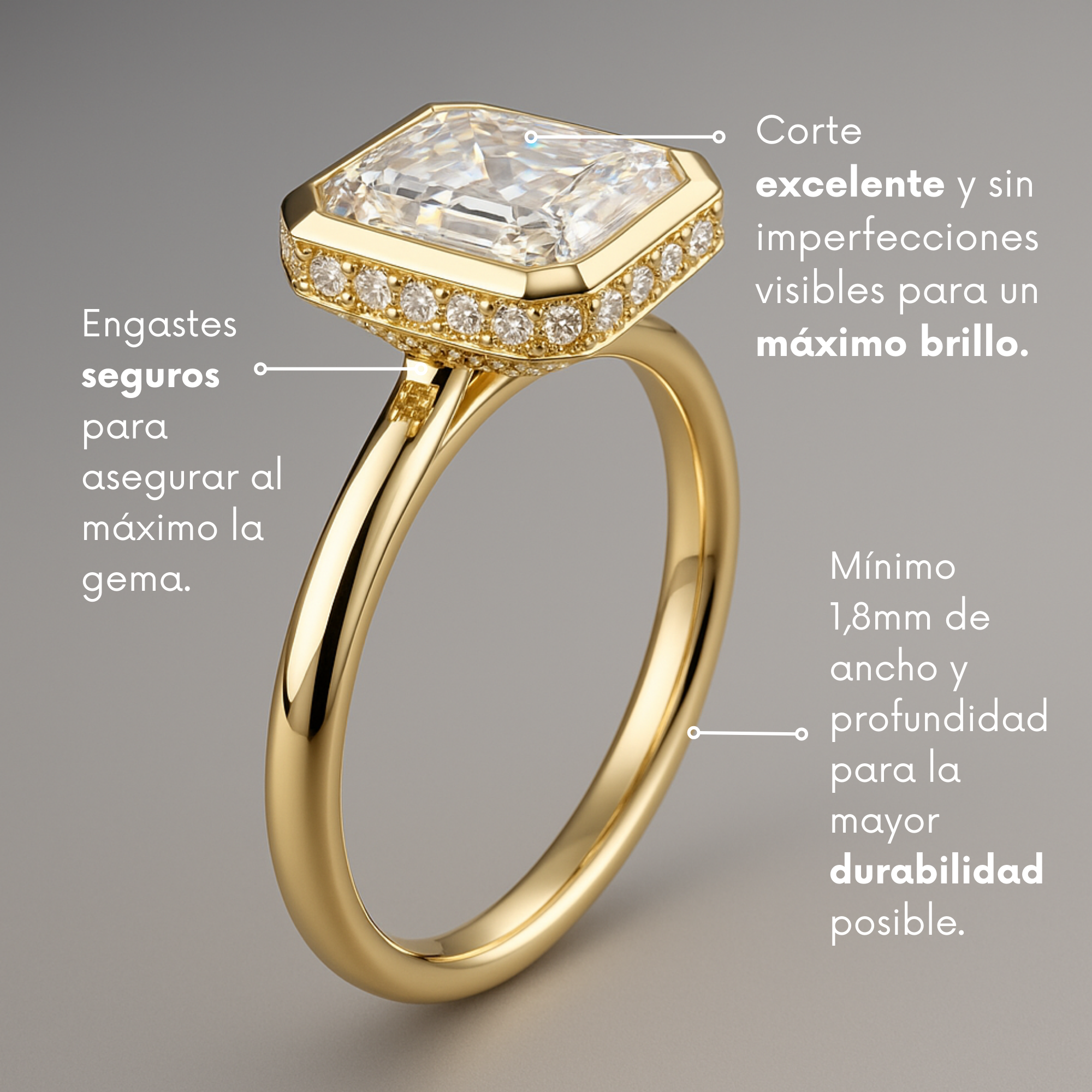 VESTA | Anillo clúster princesa